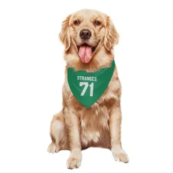 Dallas Stars Antonio Stranges Green Pet Bandana for Dog & Cat