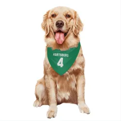 Dallas Stars Craig Hartsburg Green Pet Bandana for Dog & Cat