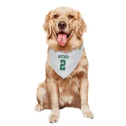 Dallas Stars Derian Hatcher White Pet Bandana for Dog & Cat