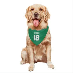 Dallas Stars Sam Steel Green Pet Bandana for Dog & Cat